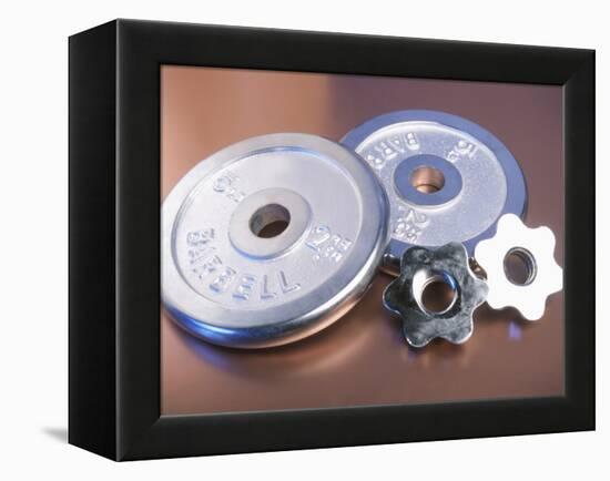 Steel Dumbbell Weights-null-Framed Premier Image Canvas