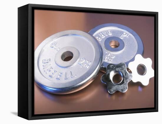 Steel Dumbbell Weights-null-Framed Premier Image Canvas