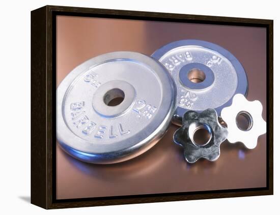 Steel Dumbbell Weights-null-Framed Premier Image Canvas