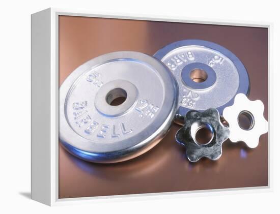 Steel Dumbbell Weights-null-Framed Premier Image Canvas