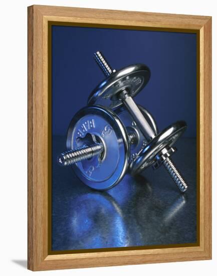 Steel Dumbbells for Workout-null-Framed Premier Image Canvas