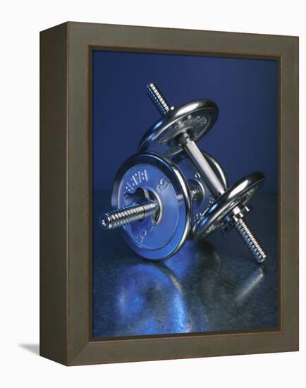 Steel Dumbbells for Workout-null-Framed Premier Image Canvas