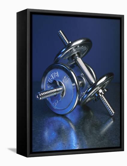 Steel Dumbbells for Workout-null-Framed Premier Image Canvas