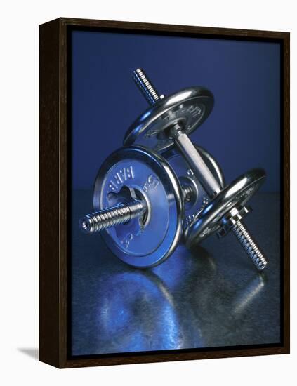 Steel Dumbbells for Workout-null-Framed Premier Image Canvas