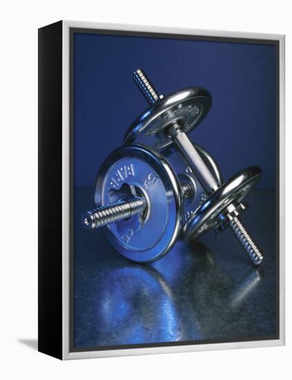 Steel Dumbbells for Workout-null-Framed Premier Image Canvas