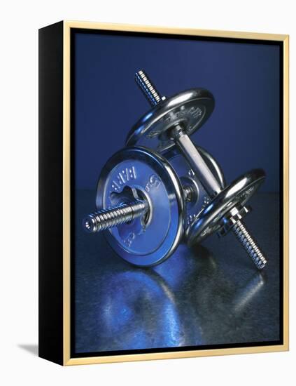 Steel Dumbbells for Workout-null-Framed Premier Image Canvas