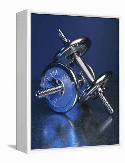 Steel Dumbbells for Workout-null-Framed Premier Image Canvas