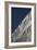 Steel Facade-David Barbour-Framed Photo