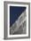 Steel Facade-David Barbour-Framed Photo