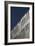 Steel Facade-David Barbour-Framed Photo