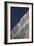 Steel Facade-David Barbour-Framed Photo