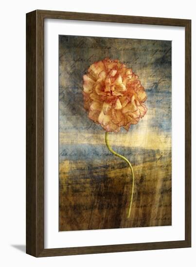 Steel Flower 4-Thea Schrack-Framed Giclee Print