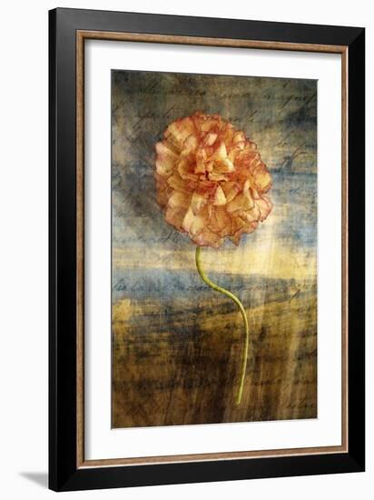 Steel Flower 4-Thea Schrack-Framed Giclee Print