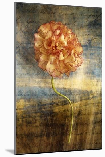 Steel Flower 4-Thea Schrack-Mounted Giclee Print