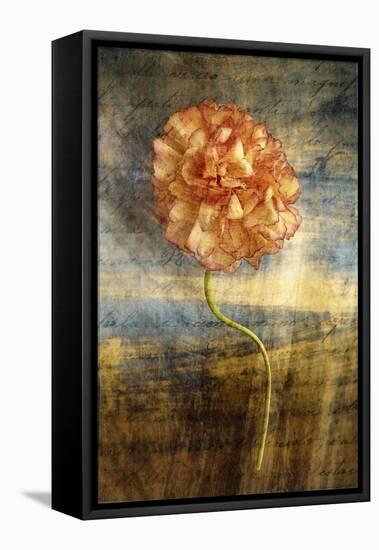 Steel Flower 4-Thea Schrack-Framed Premier Image Canvas