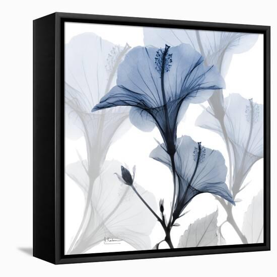 Steel Hibiscus-Albert Koetsier-Framed Premier Image Canvas