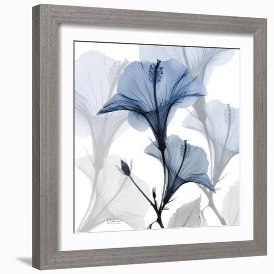 Steel Hibiscus-Albert Koetsier-Framed Premium Photographic Print