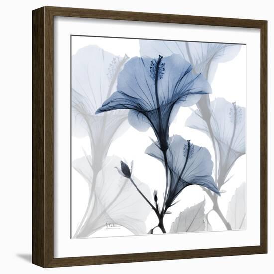 Steel Hibiscus-Albert Koetsier-Framed Premium Photographic Print