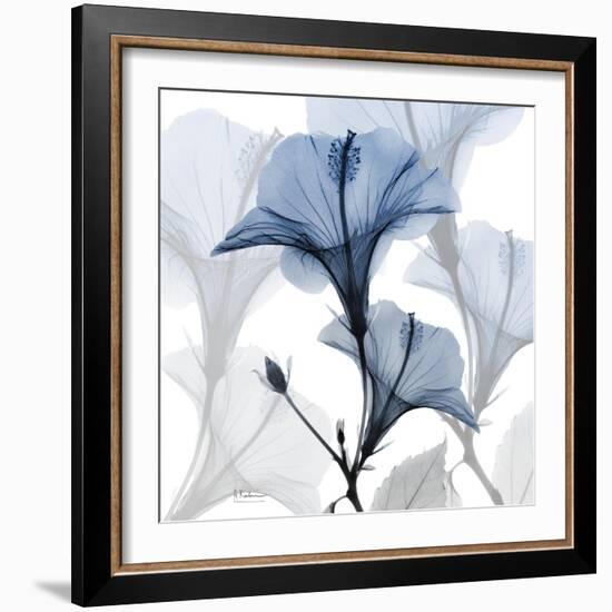 Steel Hibiscus-Albert Koetsier-Framed Premium Photographic Print