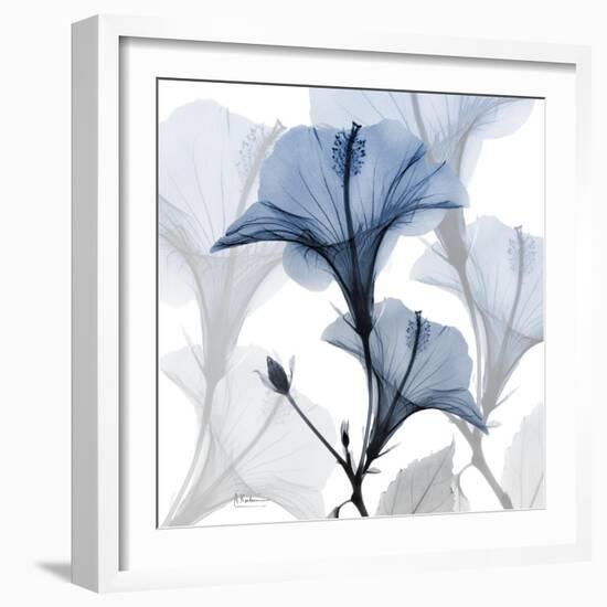 Steel Hibiscus-Albert Koetsier-Framed Premium Photographic Print