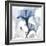 Steel Hibiscus-Albert Koetsier-Framed Premium Photographic Print