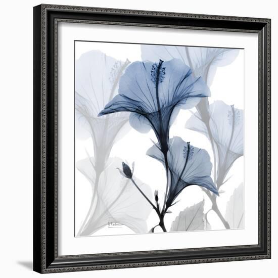 Steel Hibiscus-Albert Koetsier-Framed Premium Photographic Print