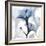 Steel Hibiscus-Albert Koetsier-Framed Premium Photographic Print