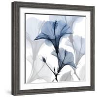 Steel Hibiscus-Albert Koetsier-Framed Photographic Print