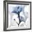 Steel Hibiscus-Albert Koetsier-Framed Photographic Print