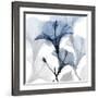 Steel Hibiscus-Albert Koetsier-Framed Photographic Print