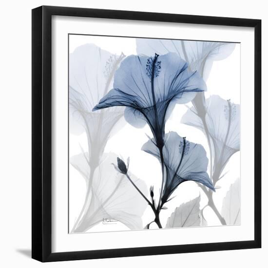 Steel Hibiscus-Albert Koetsier-Framed Photographic Print