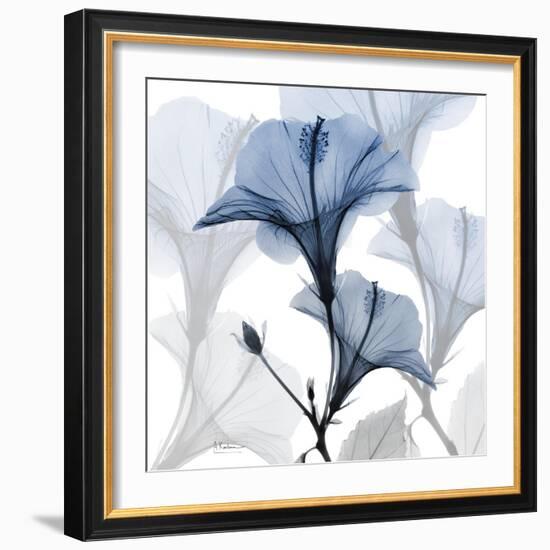 Steel Hibiscus-Albert Koetsier-Framed Photographic Print