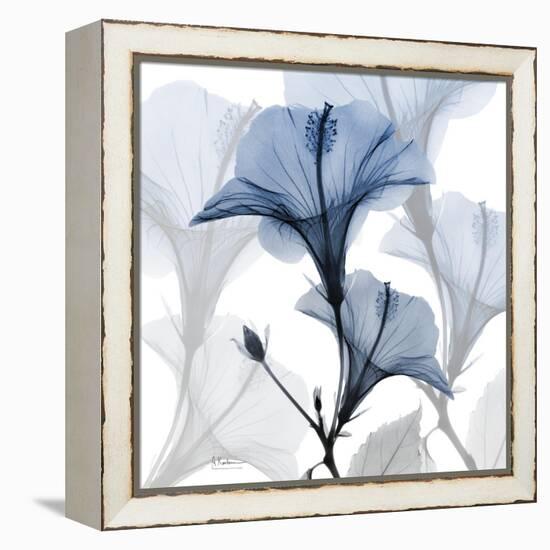 Steel Hibiscus-Albert Koetsier-Framed Stretched Canvas