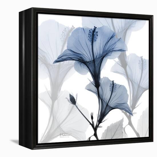 Steel Hibiscus-Albert Koetsier-Framed Stretched Canvas