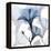 Steel Hibiscus-Albert Koetsier-Framed Stretched Canvas