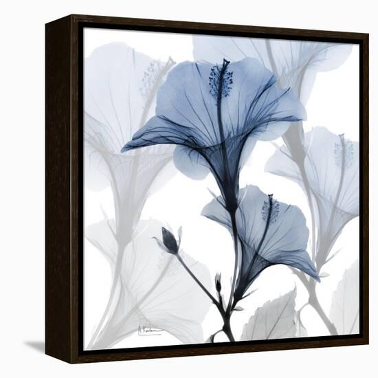 Steel Hibiscus-Albert Koetsier-Framed Stretched Canvas