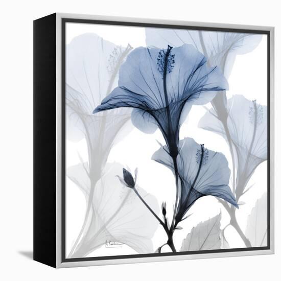 Steel Hibiscus-Albert Koetsier-Framed Stretched Canvas