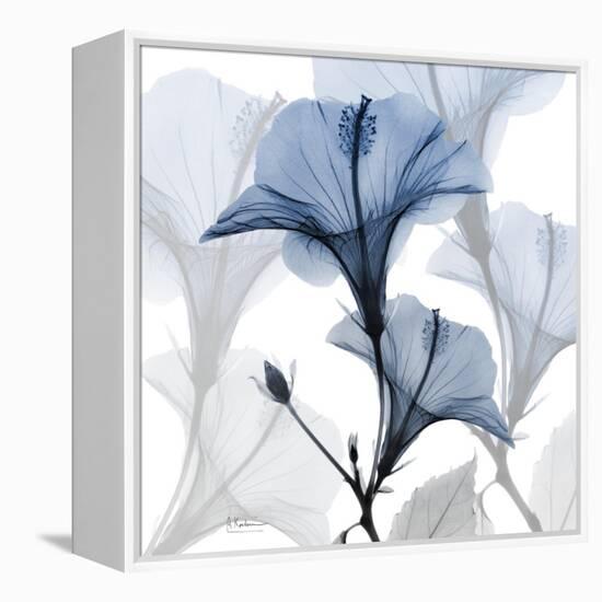 Steel Hibiscus-Albert Koetsier-Framed Stretched Canvas