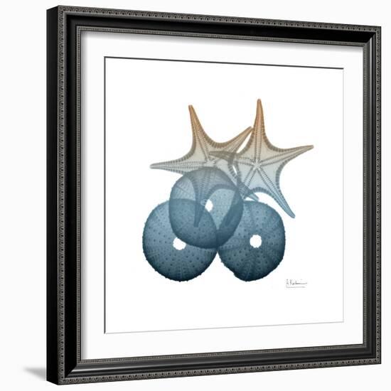 Steel Hues Sea Urchin and Starfish-Albert Koetsier-Framed Art Print