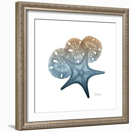 Steel Hues Starfish and Sand Dollar-Albert Koetsier-Framed Art Print