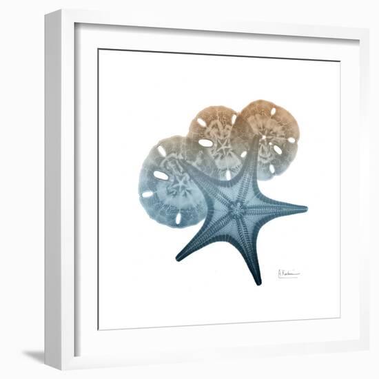 Steel Hues Starfish and Sand Dollar-Albert Koetsier-Framed Art Print