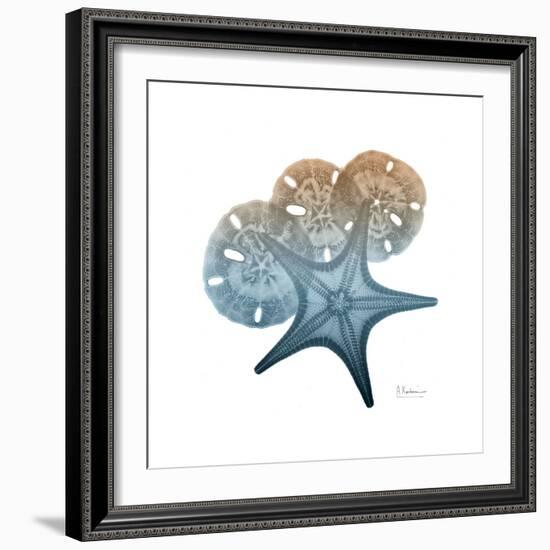 Steel Hues Starfish and Sand Dollar-Albert Koetsier-Framed Art Print