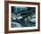 Steelhead-Jack Dumas-Framed Giclee Print