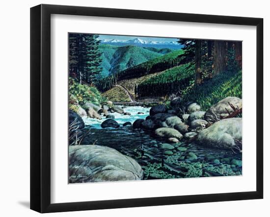 Steelhead-Jack Dumas-Framed Giclee Print