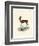 Steenbok-null-Framed Giclee Print