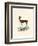 Steenbok-null-Framed Giclee Print
