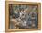 Steenboks-null-Framed Premier Image Canvas