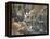 Steenboks-null-Framed Premier Image Canvas
