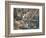 Steenboks-null-Framed Photographic Print