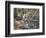 Steenboks-null-Framed Photographic Print